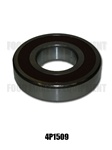 Bearing 6309-2RS